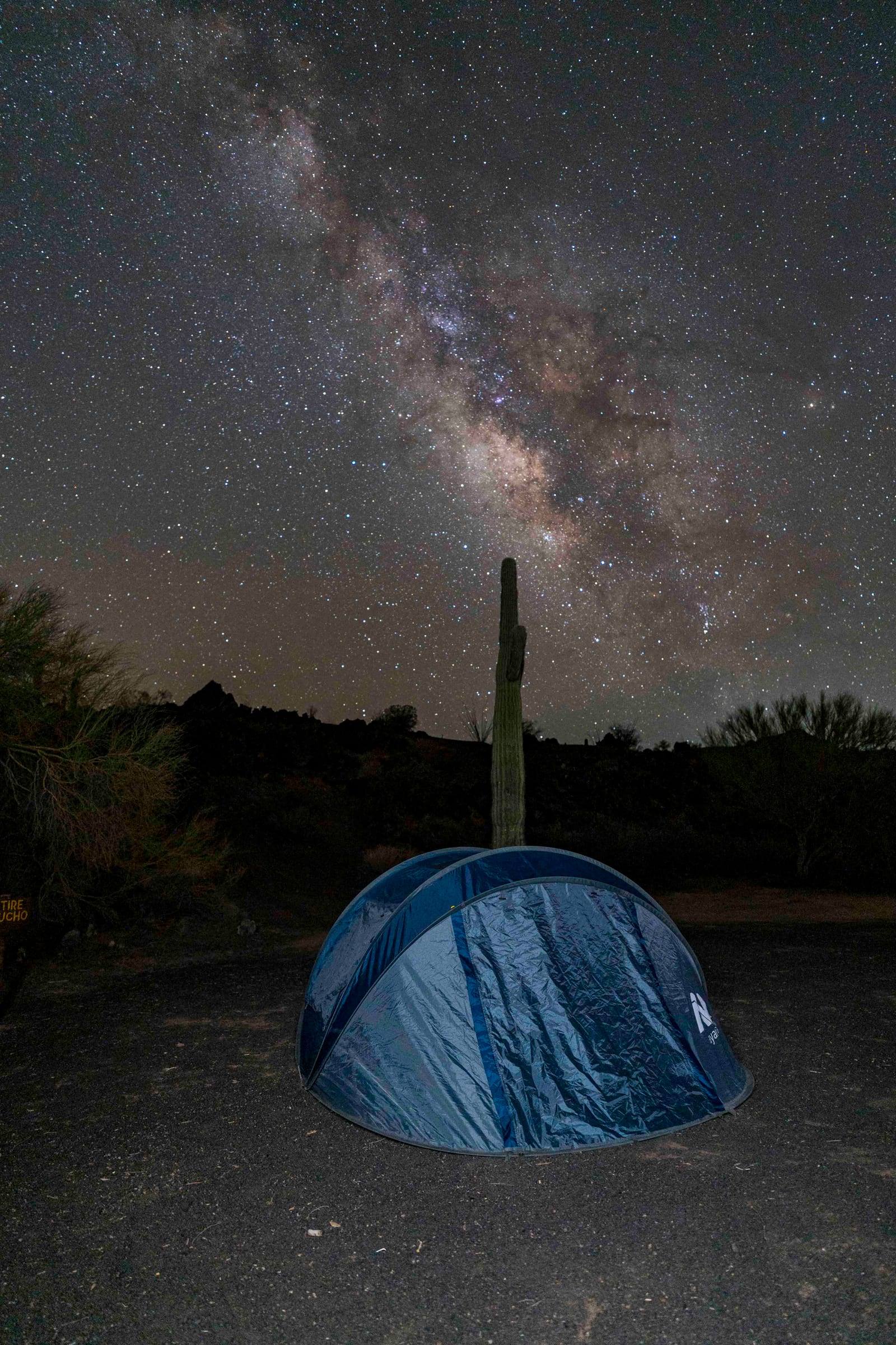 Casa de campaña iluminada junto a un sahuaro bajo la Vía Láctea en El Pinacate